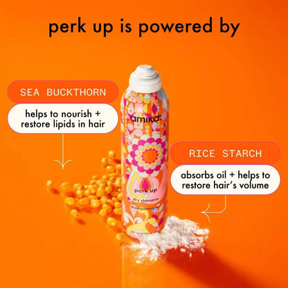 Amika Perk Up ORIGINAL Dry Shampoo - 5.3oz