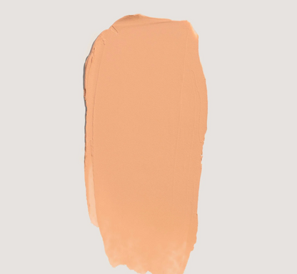 No Makeup Makeup® Foundation + Brush Duo - LIGHT